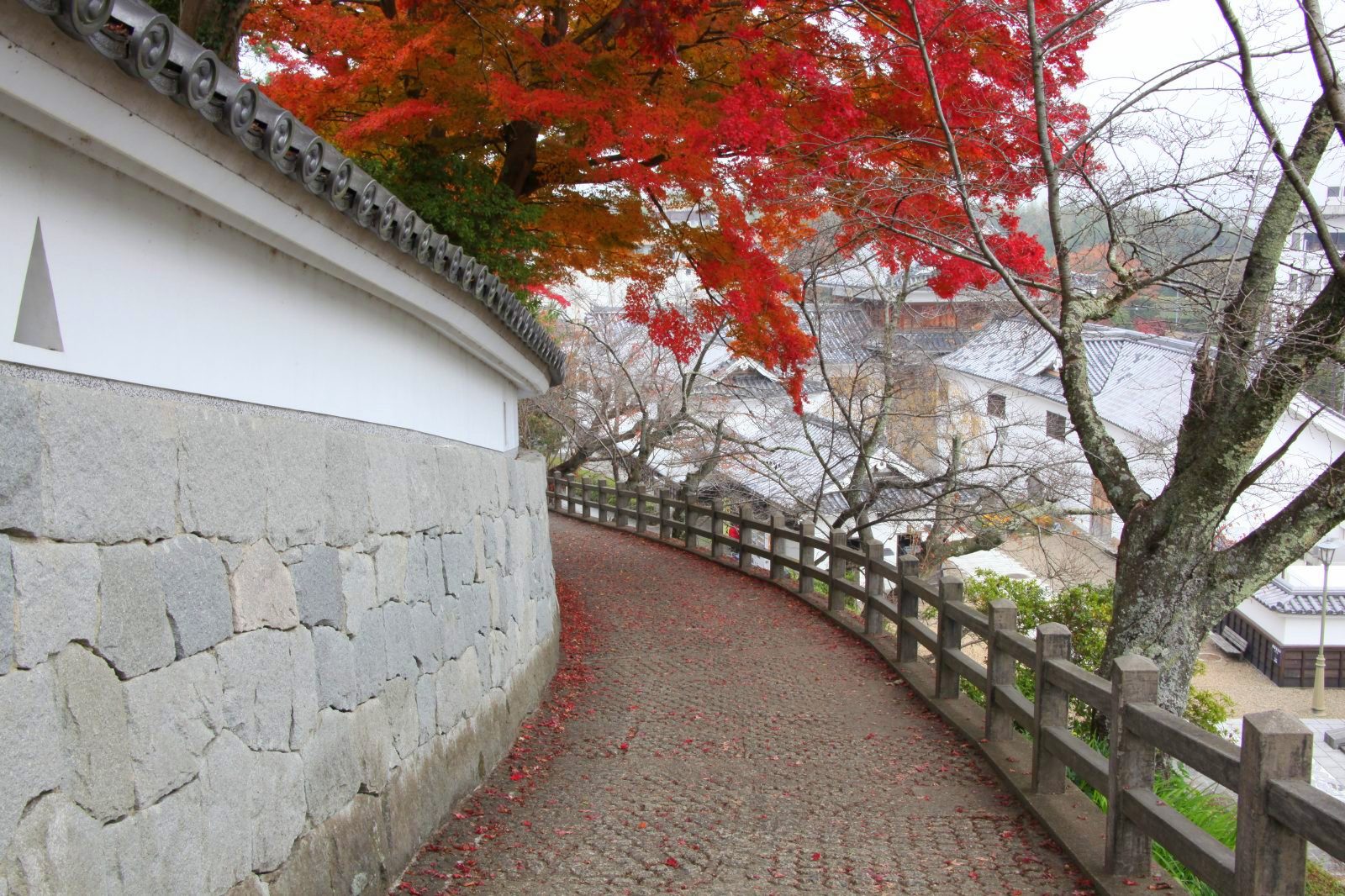 秋の福知山城