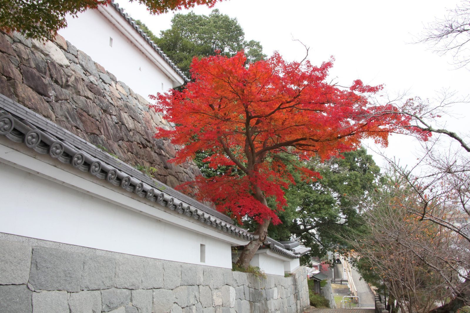 秋の福知山城