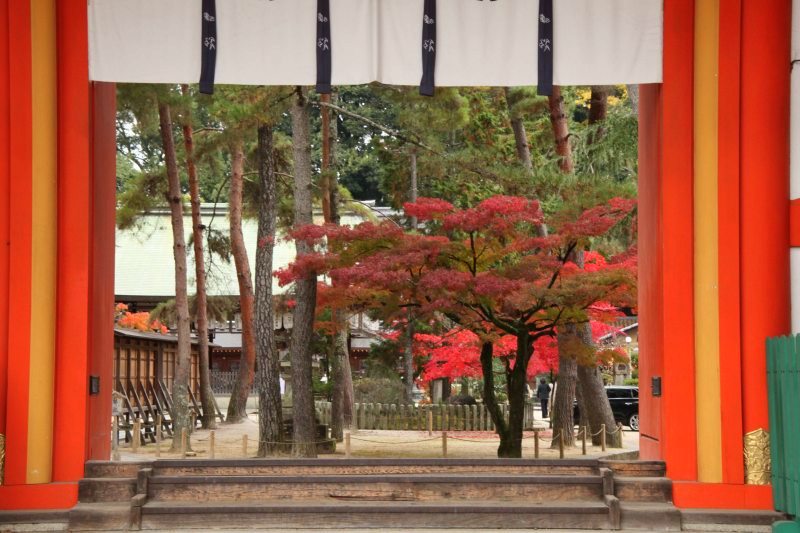 今宮神社,京都