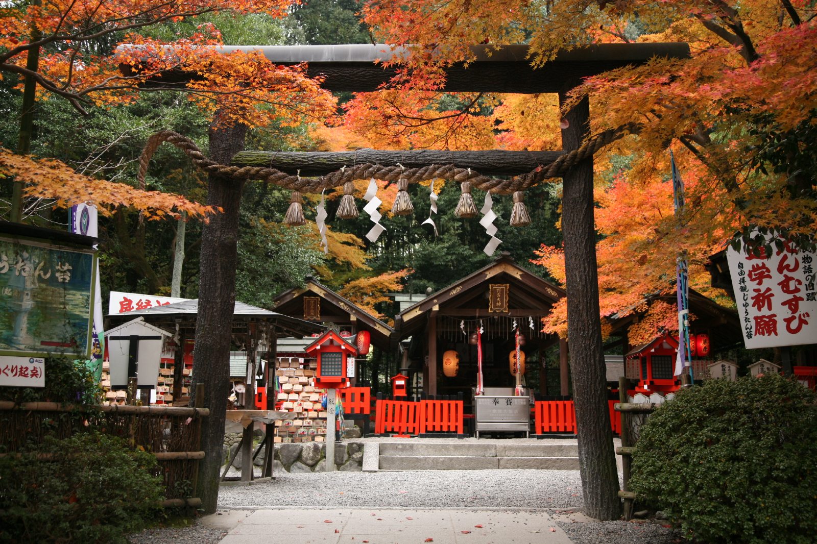 野宮神社の紅葉 Japan Web Magazine