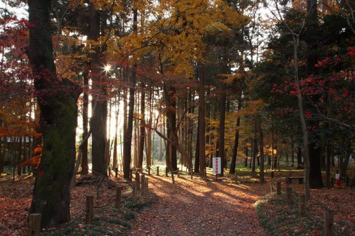 平林寺