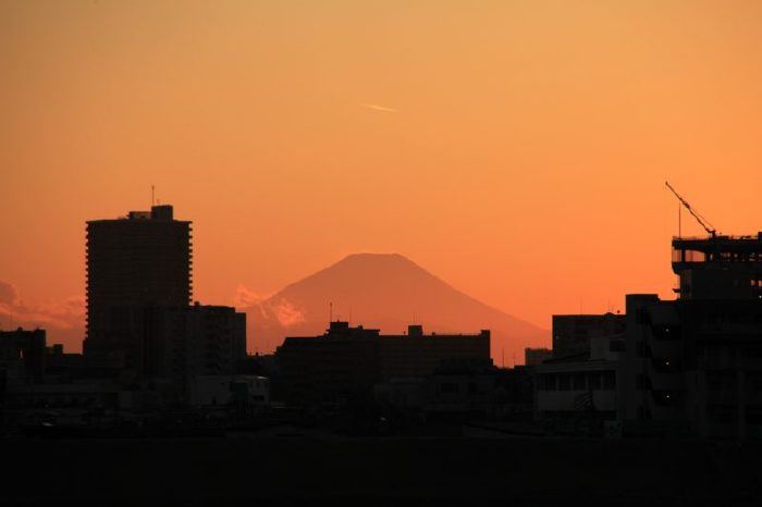 小菅西公園から見る富士山