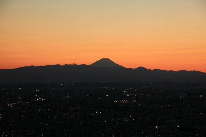 都庁から見る富士山