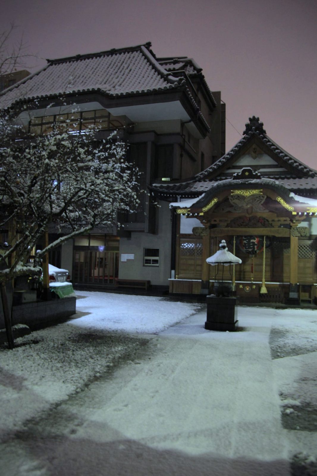 東京　雪景色