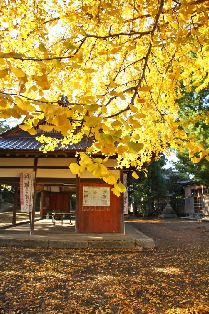 秋の小浜神社