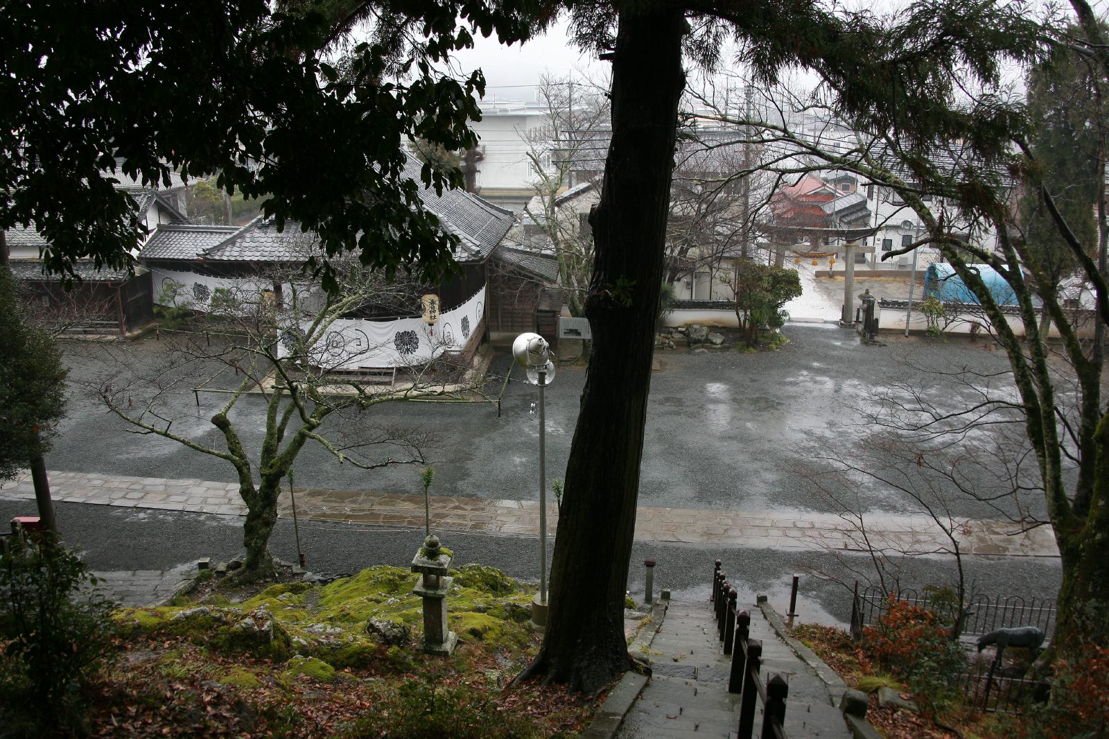 春日神社 JAPAN WEB MAGAZINE