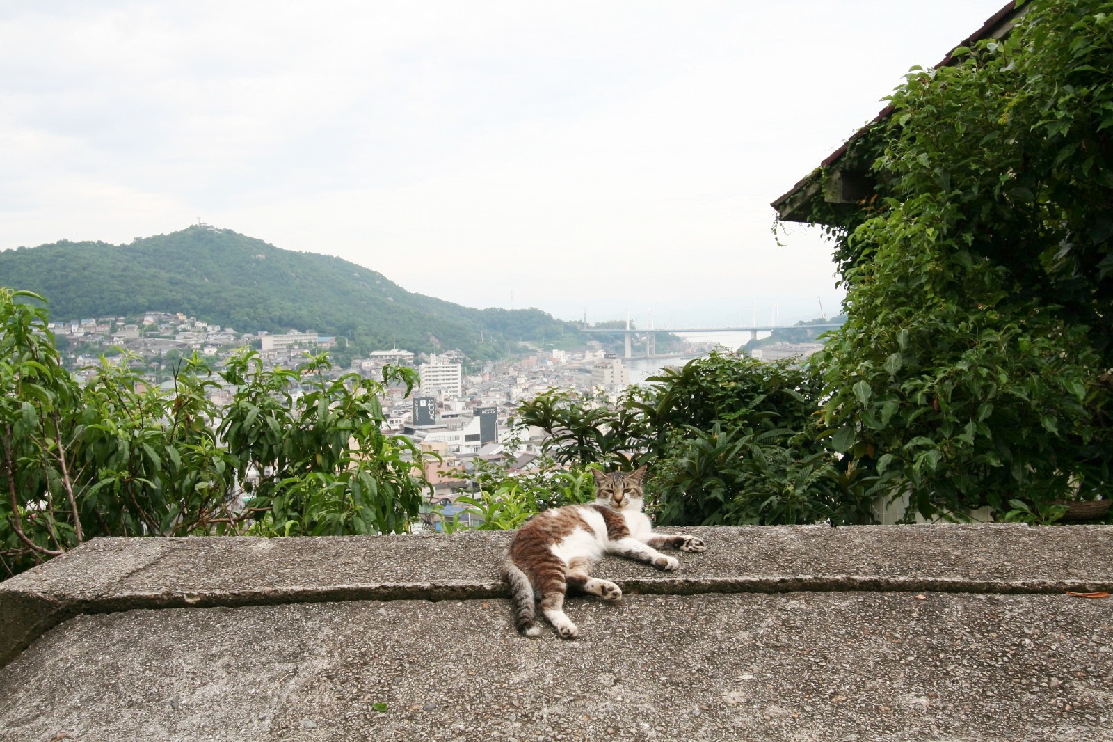 尾道 JAPAN WEB MAGAZINE