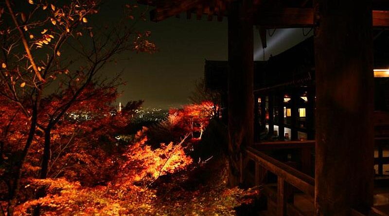 夜の清水寺の紅葉