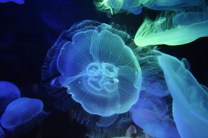 水族館