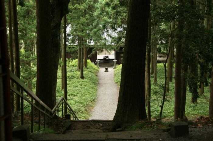 山宮浅間神社の石段から見る参道