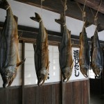 新潟県村上の鮭文化