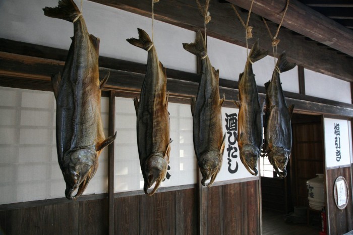 新潟県村上の鮭文化