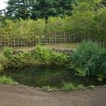 銚子池