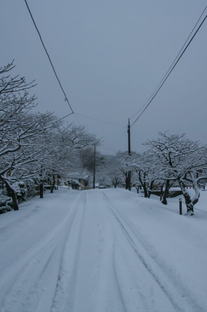 冬の北海道の道　松前町