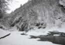 冬の片品渓谷
