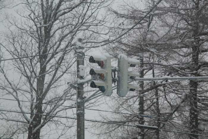 雪の中の信号機