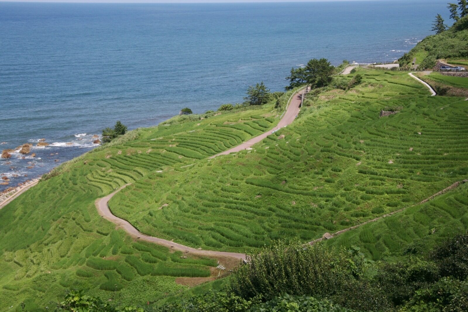 白米千枚田 | JAPAN WEB MAGAZINE