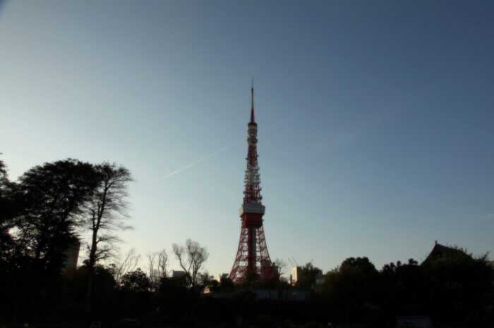 芝公園から見る夕暮れの東京タワー