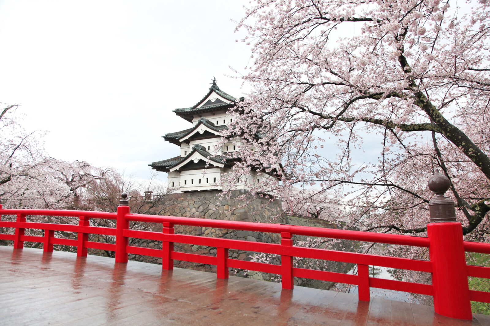 唯一無二!?弘前城の桜の美しさの理由に迫る! 全国屈指の桜の名所「弘前公園」の桜 完全ガイド | JAPAN WEB MAGAZINE