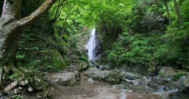 新緑の中の名瀑「払沢の滝」
