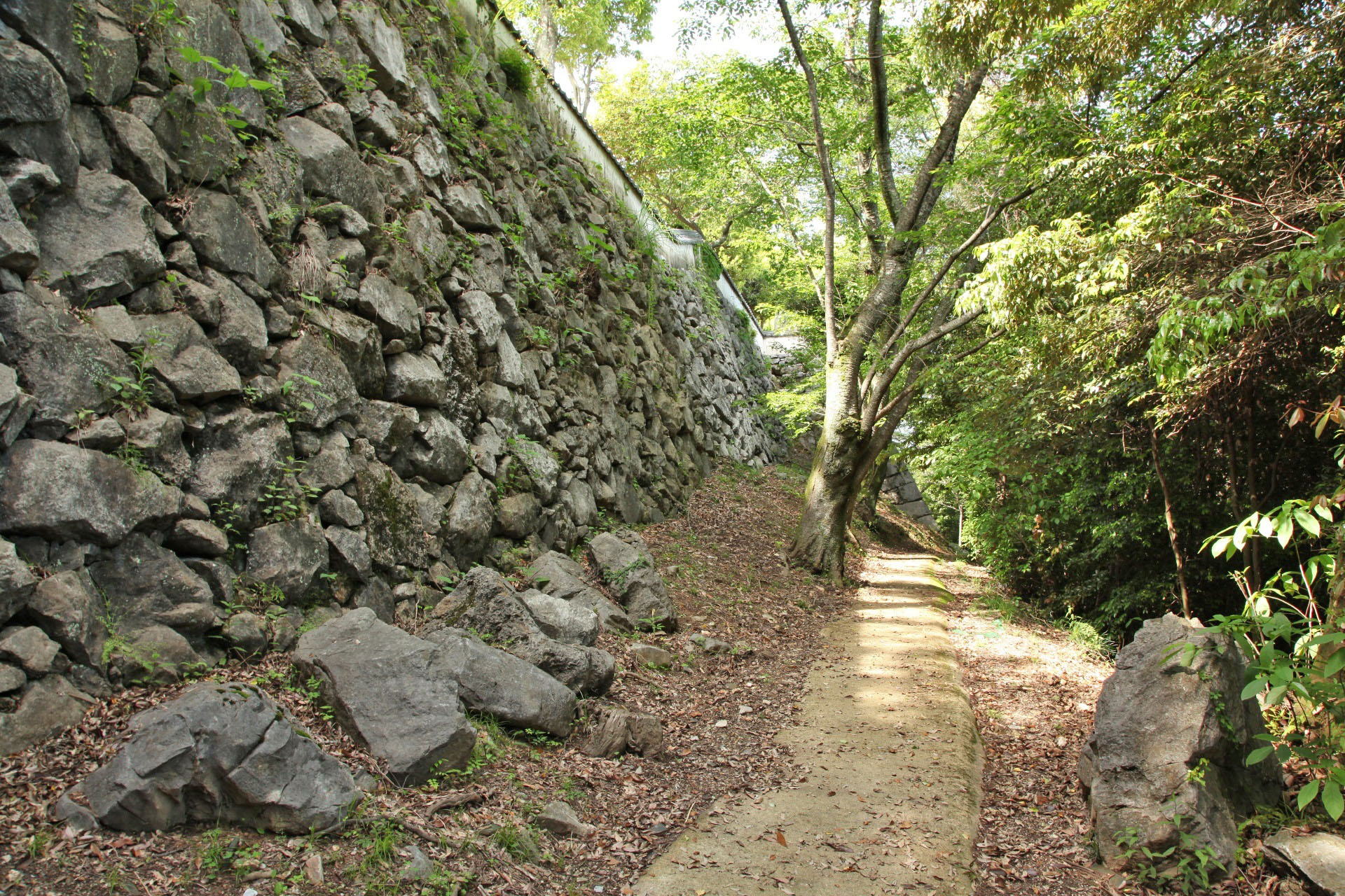 岩国城の石垣