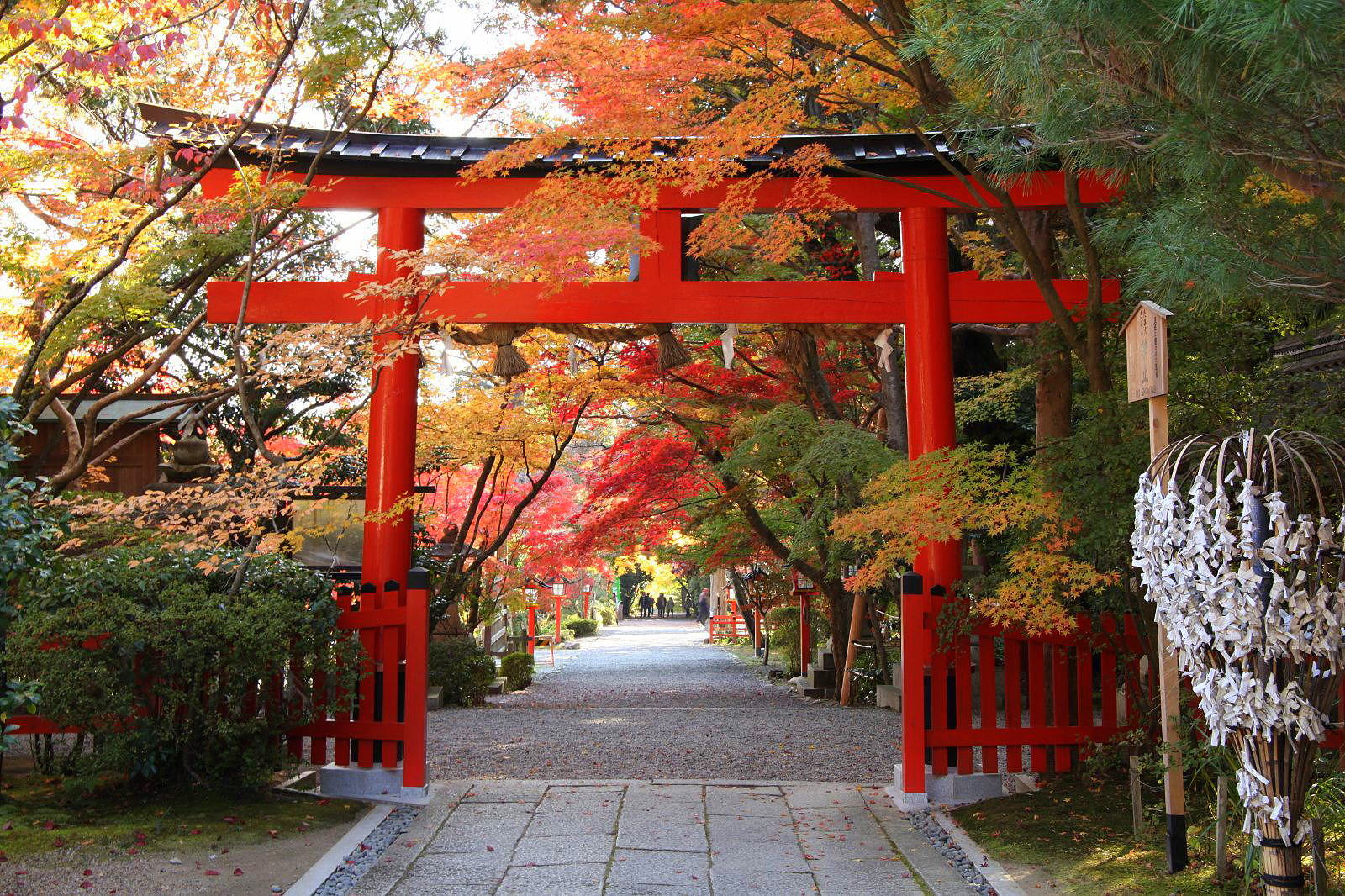 新品　ＤＶＤ　自然の中の神々4　城南宮　向日神社　松尾大社　大原野神社◆◆　●● 新品 DVD 自然の中の神々4 城南宮 向日神社 松尾大社 大原野