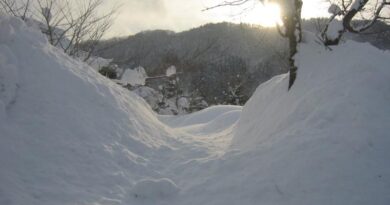 日本各地の冬の風景「青森県黒石市」