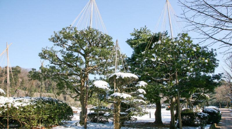 金沢の風景