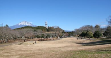 岩本山公園と富士山