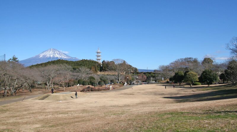 岩本山公園と富士山