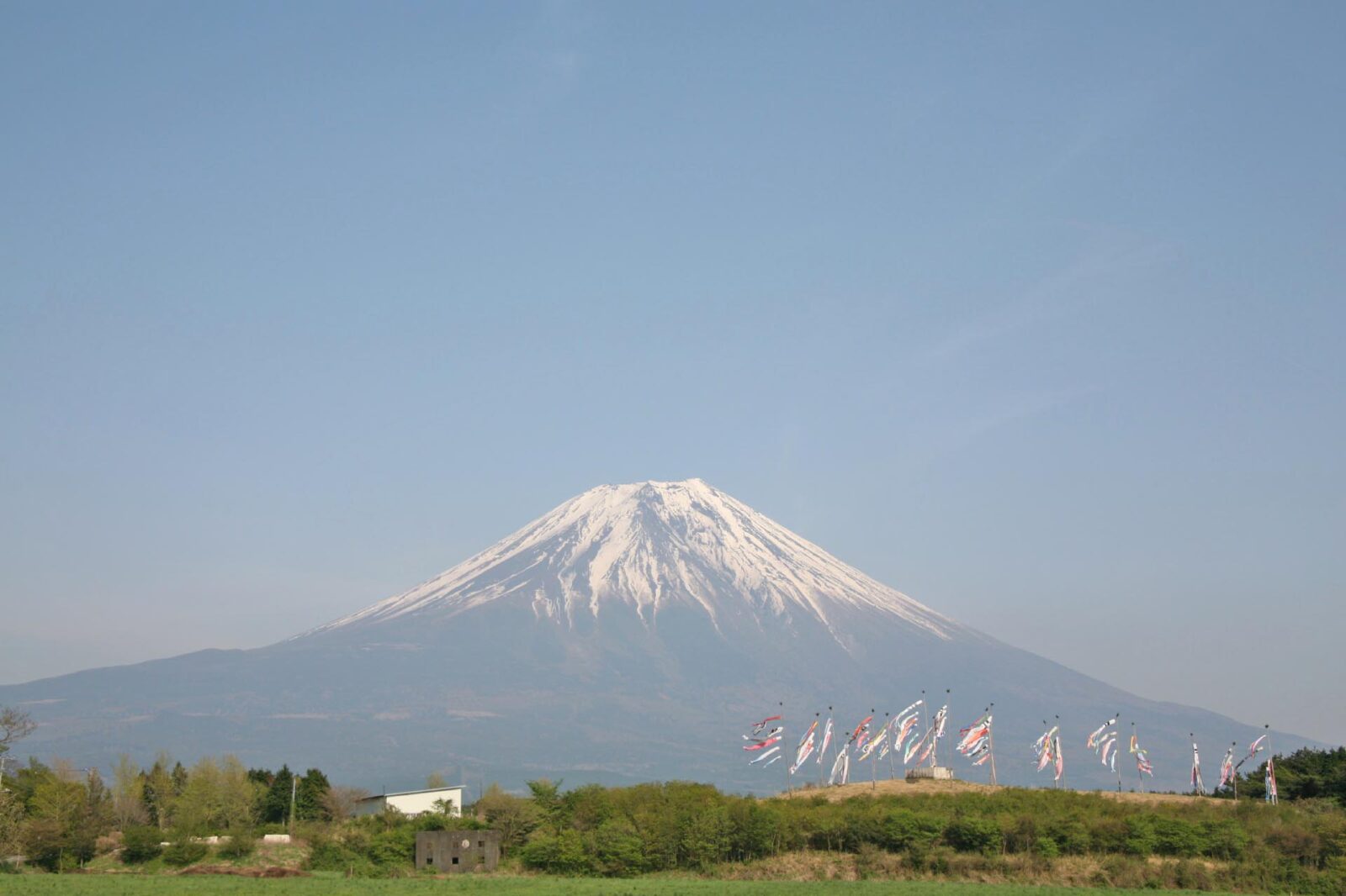 初夏の富士山　朝霧高原
