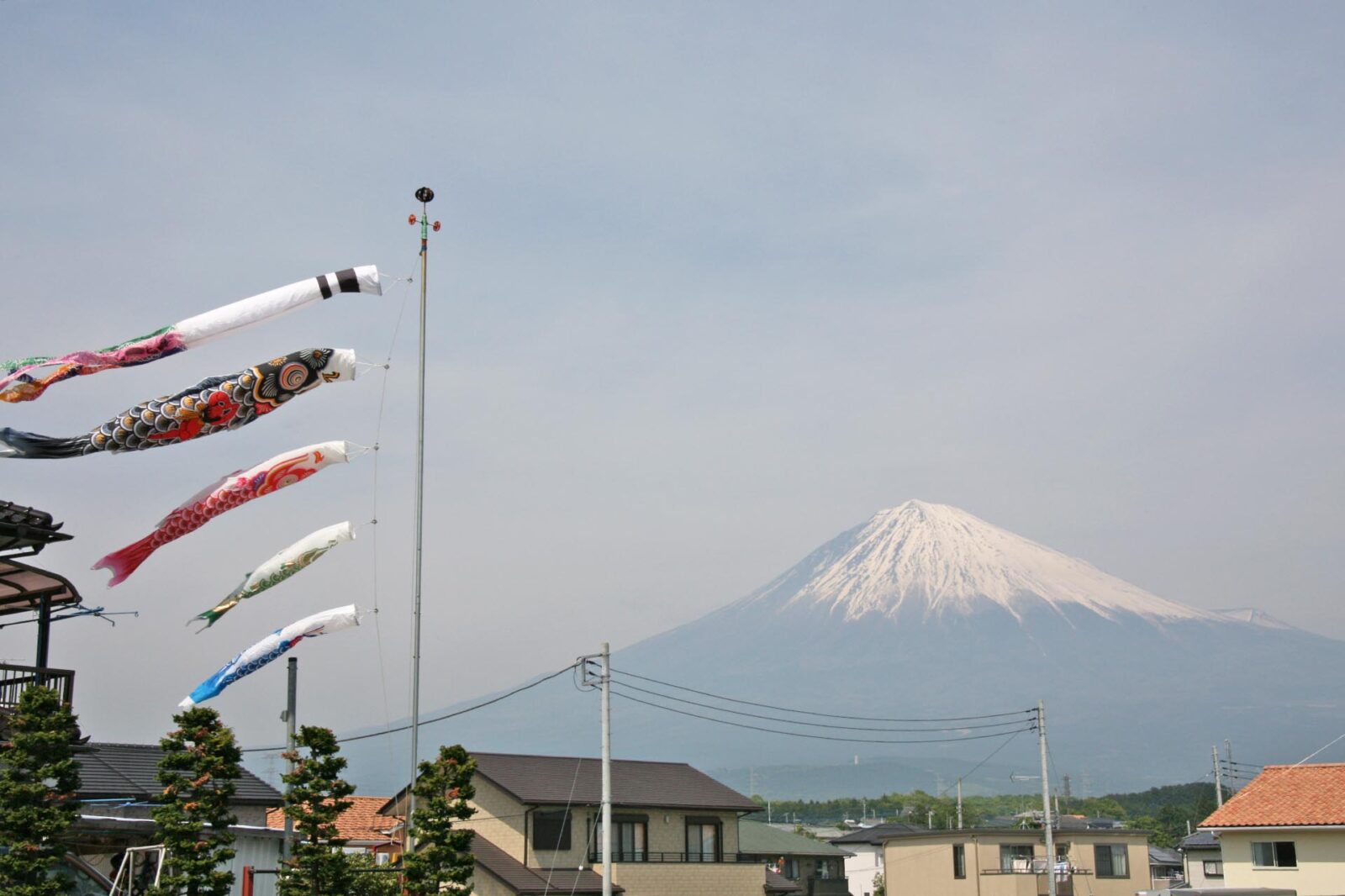 鯉のぼりと富士山