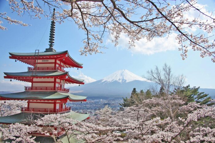 桜と五重塔と富士山　春の富士山