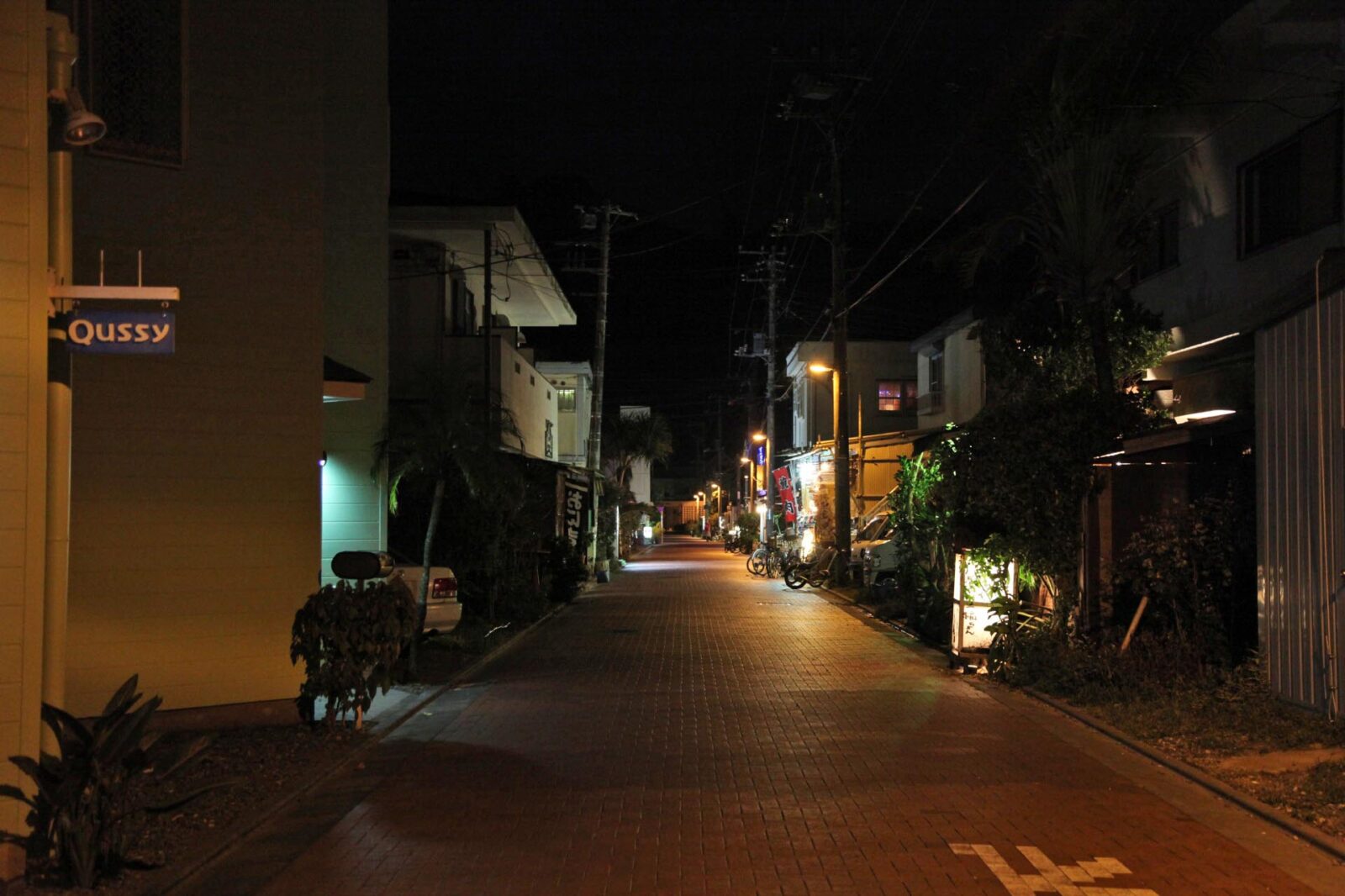 日本の夜の風景　小笠原