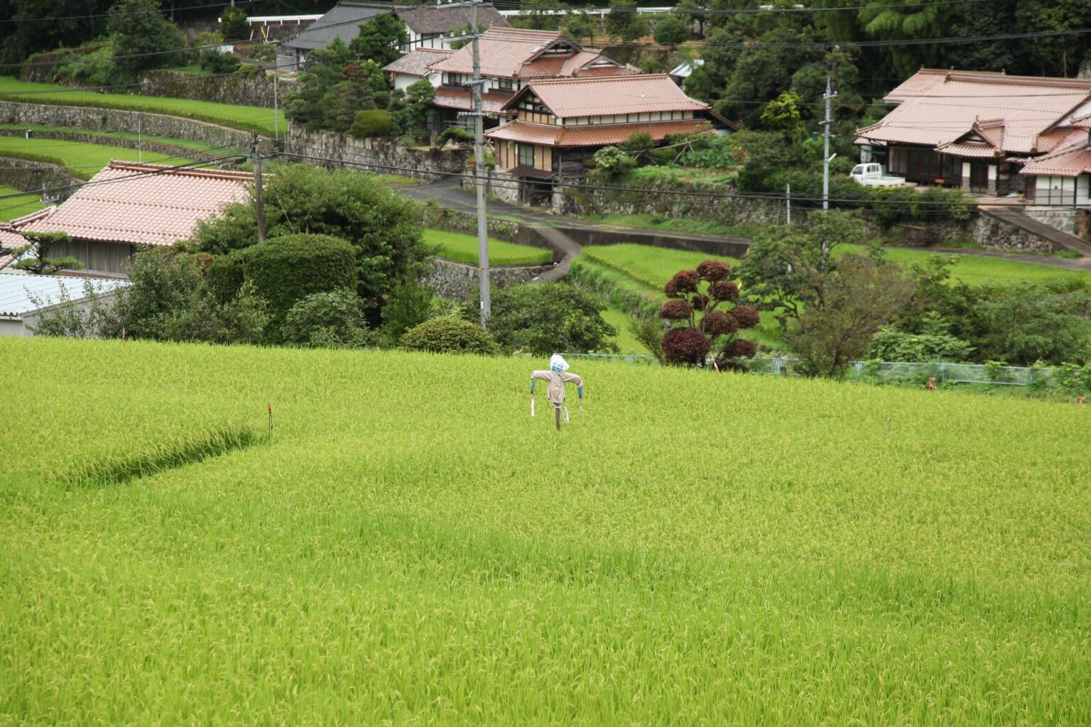 田舎でのんびり過ごしたい!あなたに贈る美しい日本の田舎の風景 日本の里山の風景 | JAPAN WEB MAGAZINE