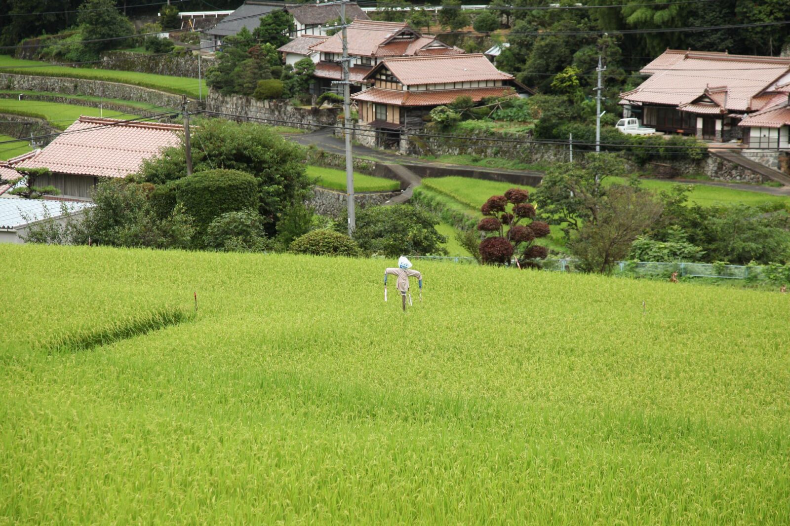 田舎でのんびり過ごしたい あなたに贈る美しい日本の田舎の風景 日本の里山の風景 Japan Web Magazine