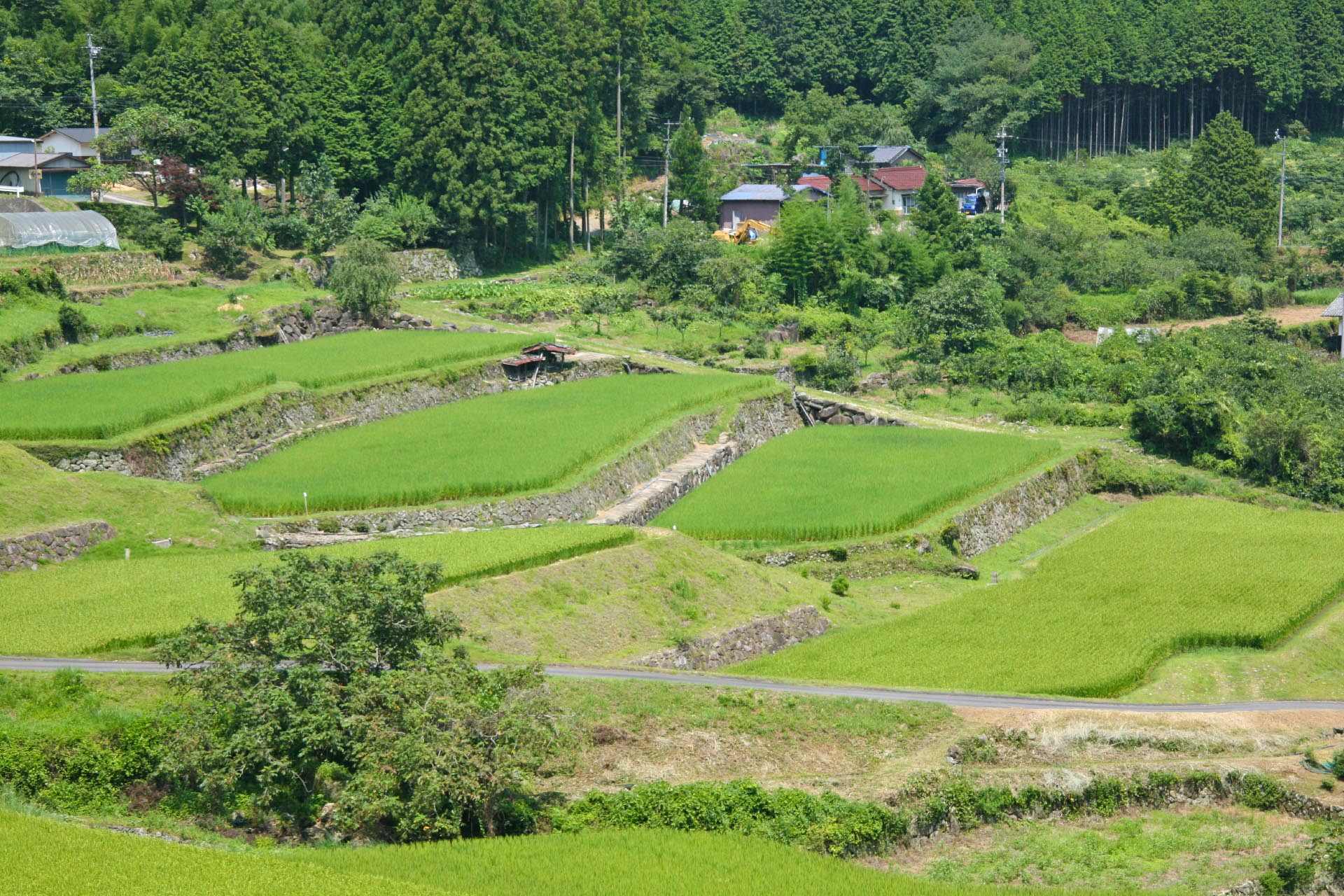 田舎でのんびり過ごしたい!あなたに贈る美しい日本の田舎の風景 日本の里山の風景 | JAPAN WEB MAGAZINE