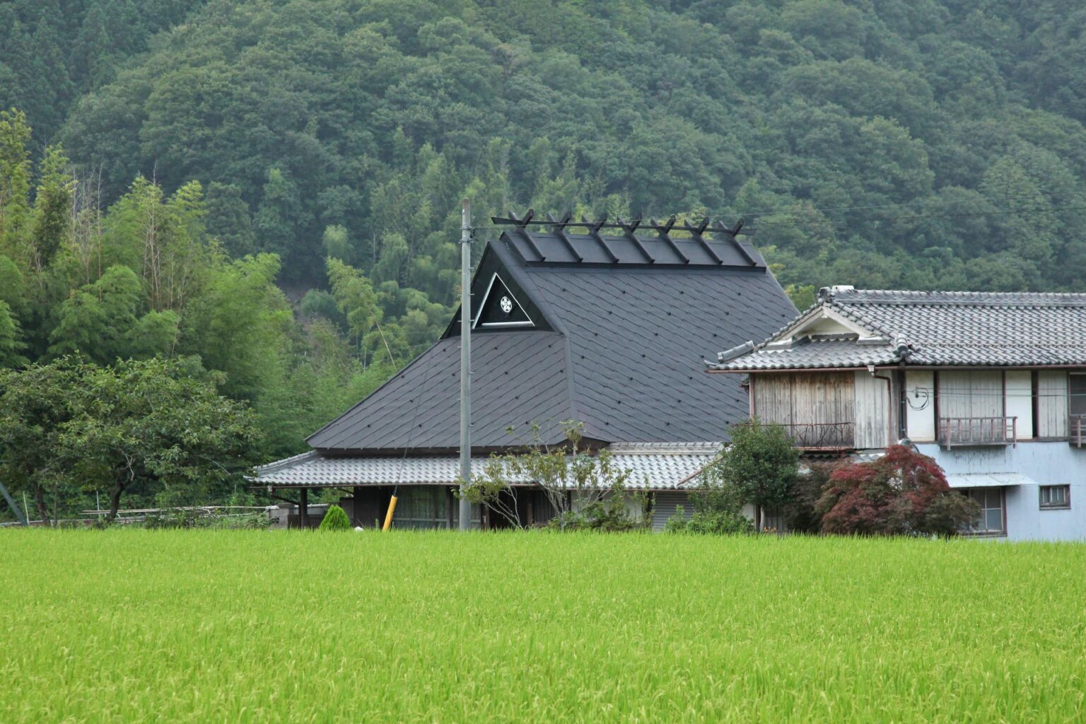 田舎でのんびり過ごしたい!あなたに贈る美しい日本の田舎の風景 日本の里山の風景 | JAPAN WEB MAGAZINE