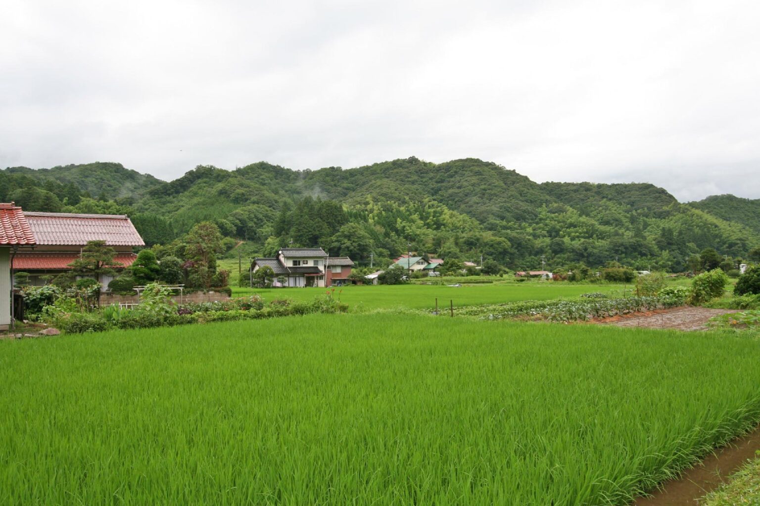 田舎でのんびり過ごしたい!あなたに贈る美しい日本の田舎の風景 日本の里山の風景 | JAPAN WEB MAGAZINE