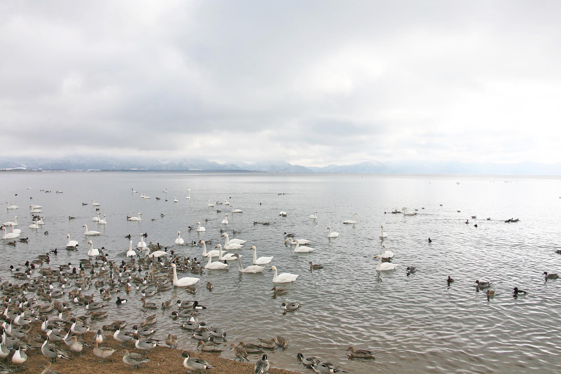 生きている間に一度は見たい!美しい日本の湖の絶景 | JAPAN WEB MAGAZINE