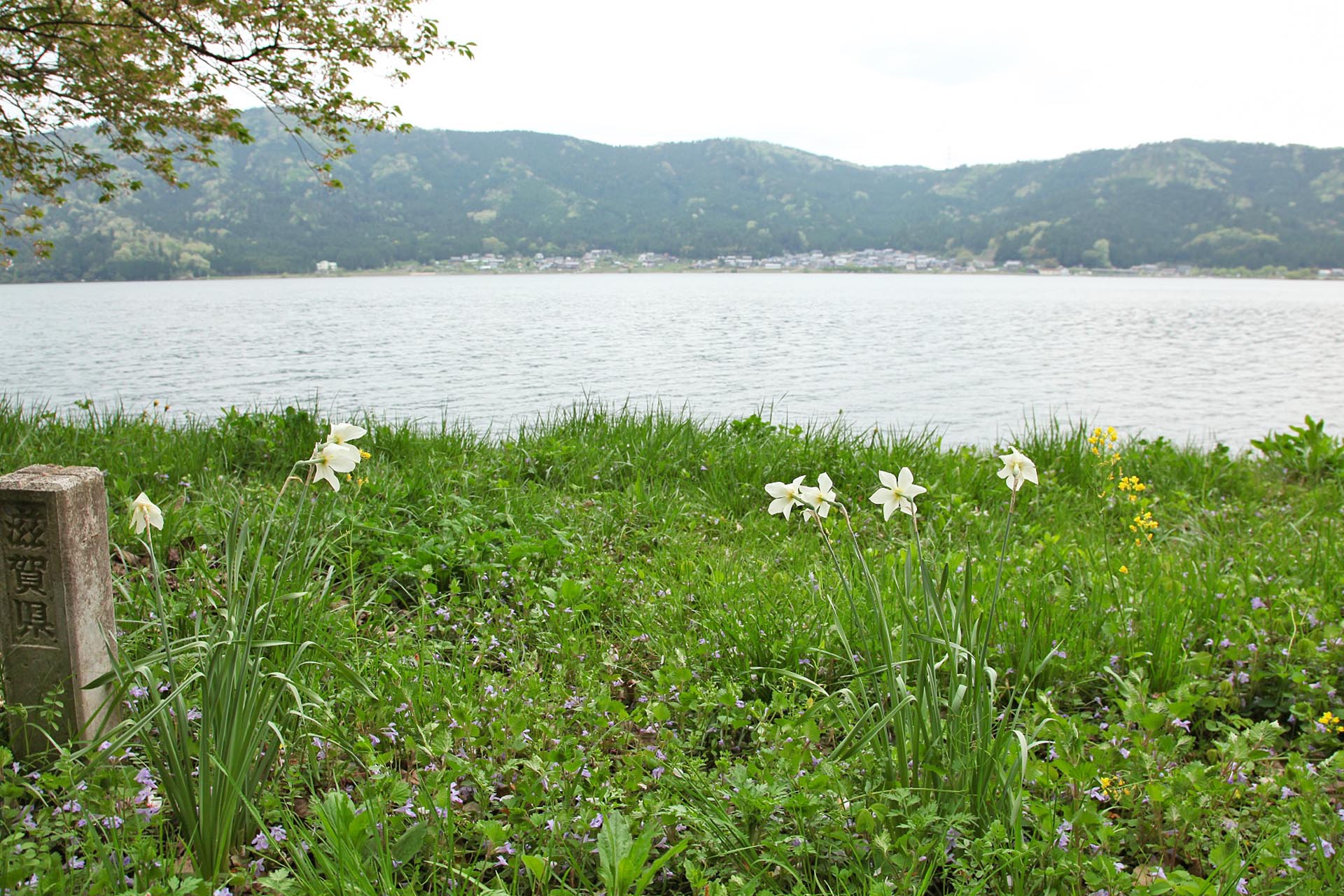 生きている間に一度は見たい!美しい日本の湖の絶景 | JAPAN WEB MAGAZINE