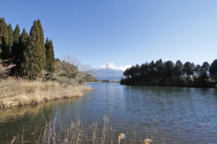 田貫湖と富士山　静岡