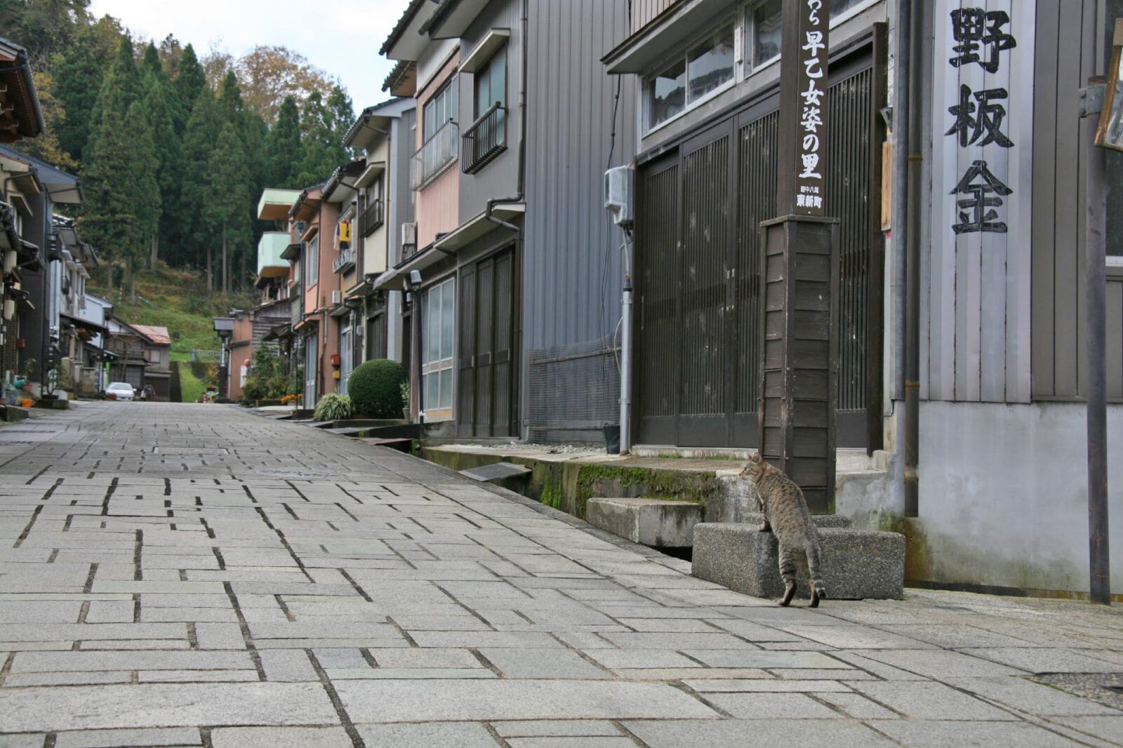 八尾の町並み