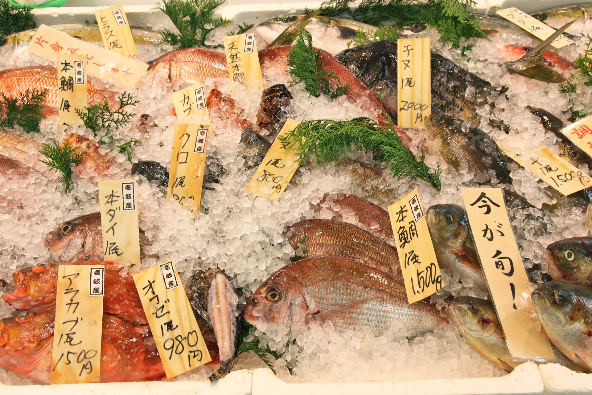 博多のスーパーの鮮魚コーナーに並ぶ魚