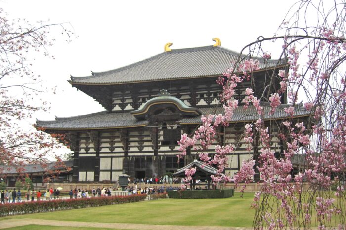 春の奈良　桜と東大寺の風景