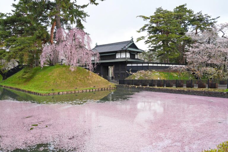弘前城跡の桜の絶景と花筏の風景 | JAPAN WEB MAGAZINE