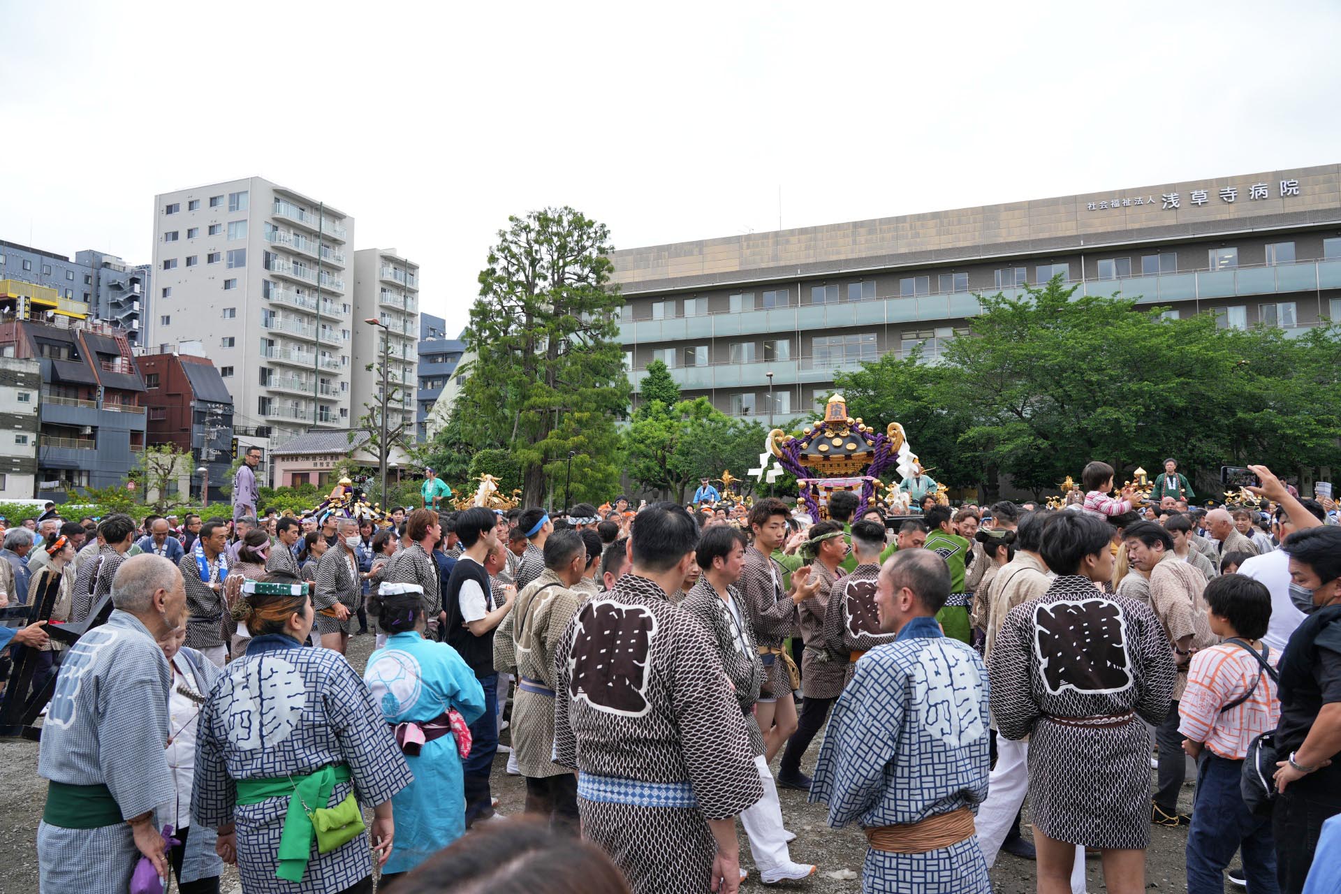 浅草　三社祭