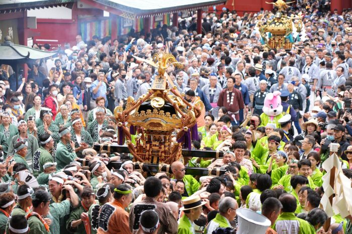 浅草「三社祭」　4年ぶりの本格開催！　2023年5月