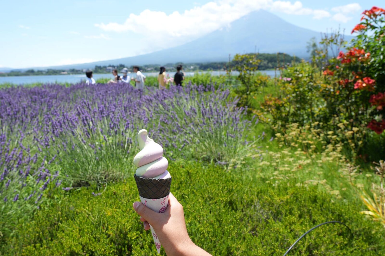 ラベンダーと富士山とソフトクリーム