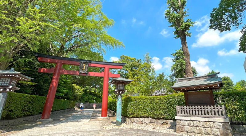 夏の根津神社　東京の夏の風景